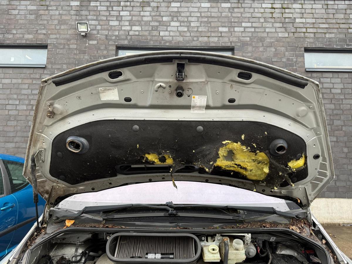 Renault Espace 4 JK original Motorhaube TED69 Platin Grau Metallic BJ08